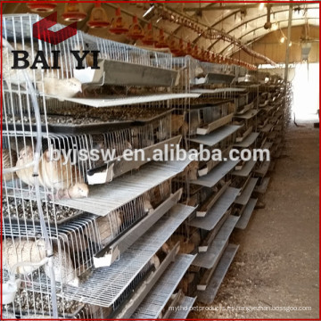 Galvanizado Quail Laying Cage Y Quail Cage Equipment